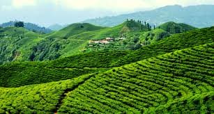Rental properties in Nepal